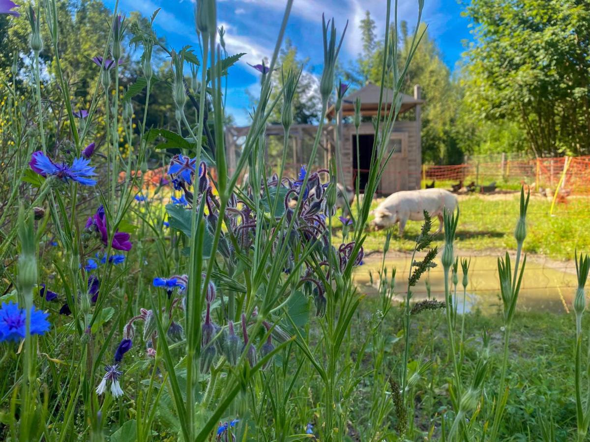 Bed & Wellness Klein Knorrestein With Private Hottub And Sauna And Tandembike Rental Included In Price Almere Exterior foto